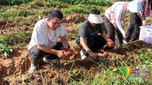 图片 6.jpg 图片 6.jpg